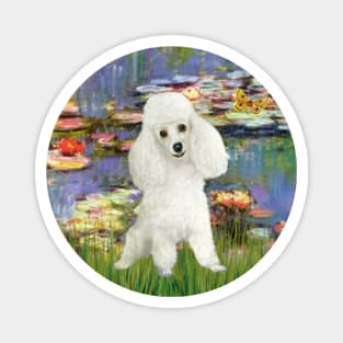 Claude Monet's Lily Pond Masterpiece Adapted to Include a White Toy Poodle Magnet